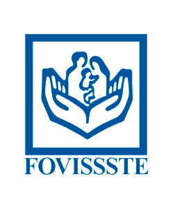 foviste-liga